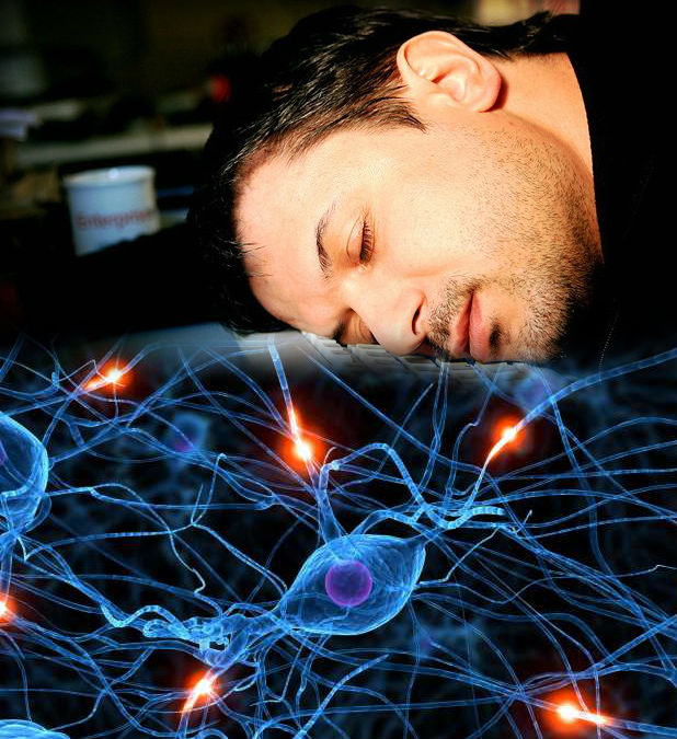 Активность мозга во время сна