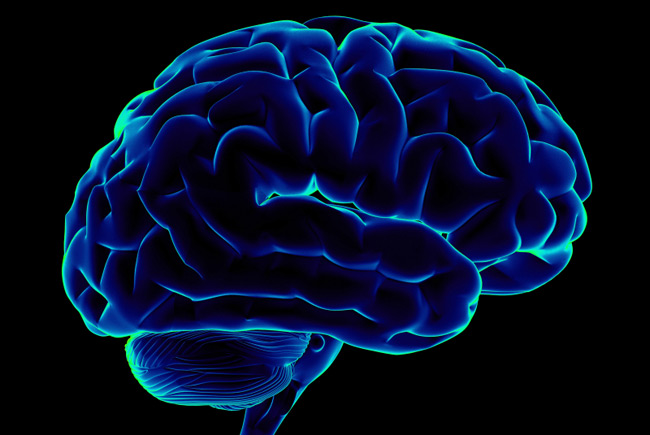 Названы пять привычек, которые убивают мозг