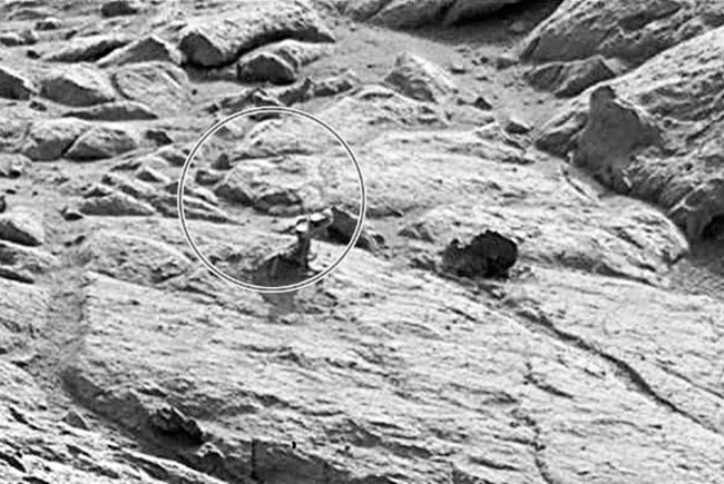 С фотографией ящера еще проще – при максимальном увеличении надо было определиться – просто камень лежит на поверхности Марса или просто очередная сенсация