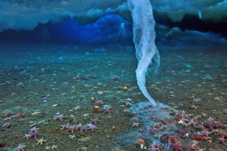 Ледяные сталактиты